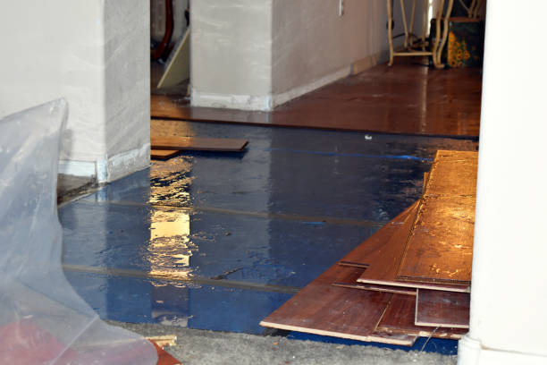 Professional Water Damage technician working in Viola, WI